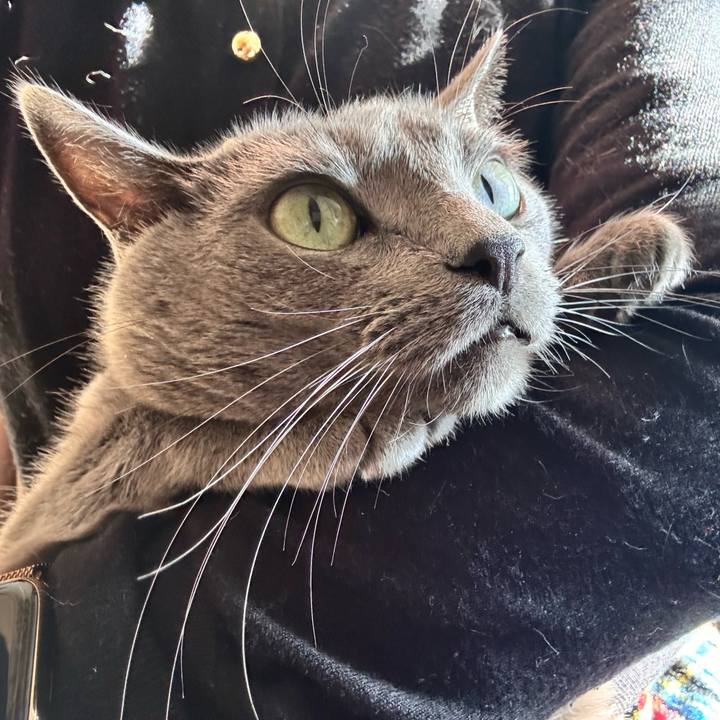 466406e3 778b 4309 9540 022a3c9ff61c 1767767575178