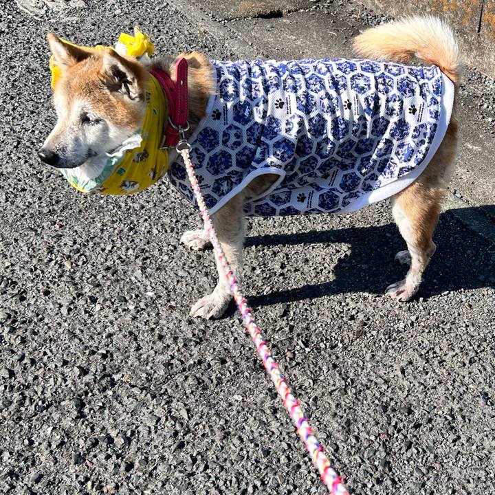 46642024 08d9 4e61 8398 07814b117f31 1765164105174