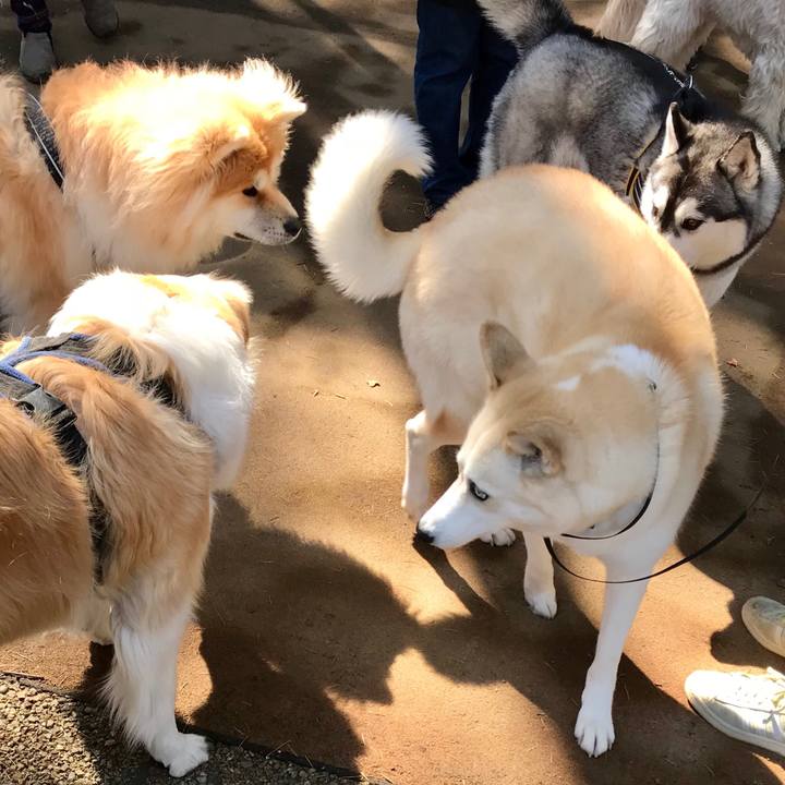 466434ee 9ebd 40c0 8a58 5ba0cd2b13a6 1522022875739