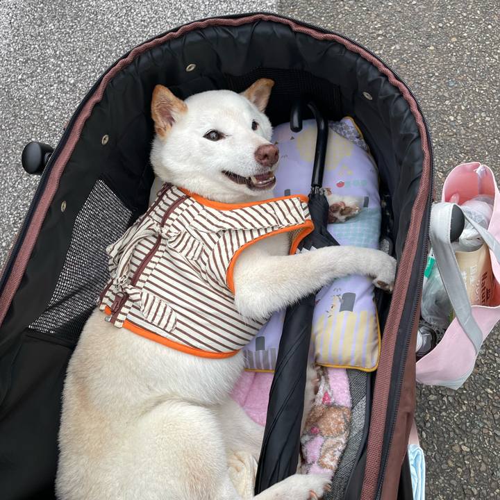 4664617c 3384 4dba a712 f6833595678f 1656329198107