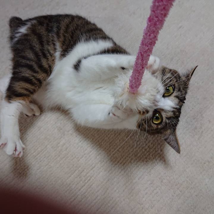 4664640d ac13 4f6c 9727 f82f640ae17d 1624151060779