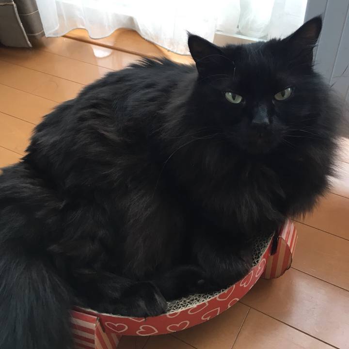 46646e0f 784a 448f a13c 9ec12d7e6917 1550734065178