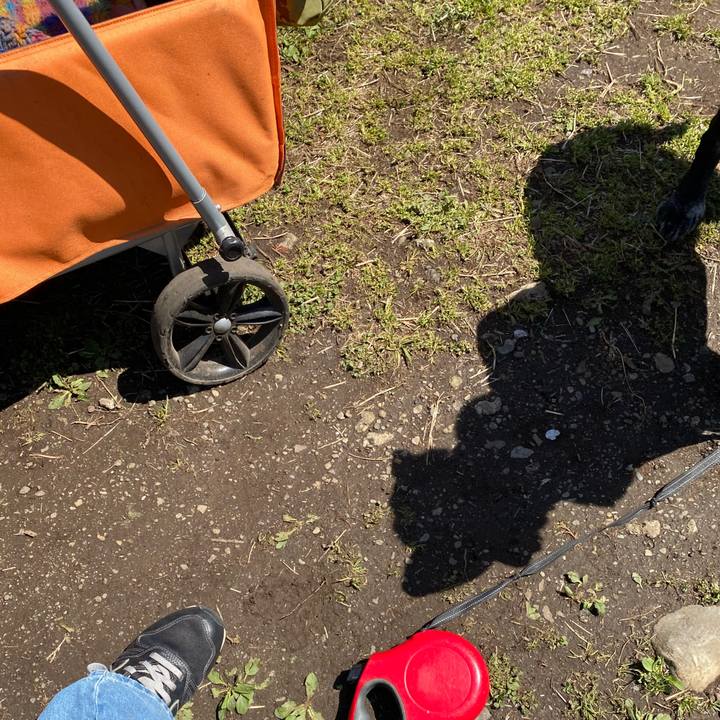 4664ad9e 8c7d 4892 a0cf ab39e6c4305f 1743816276635