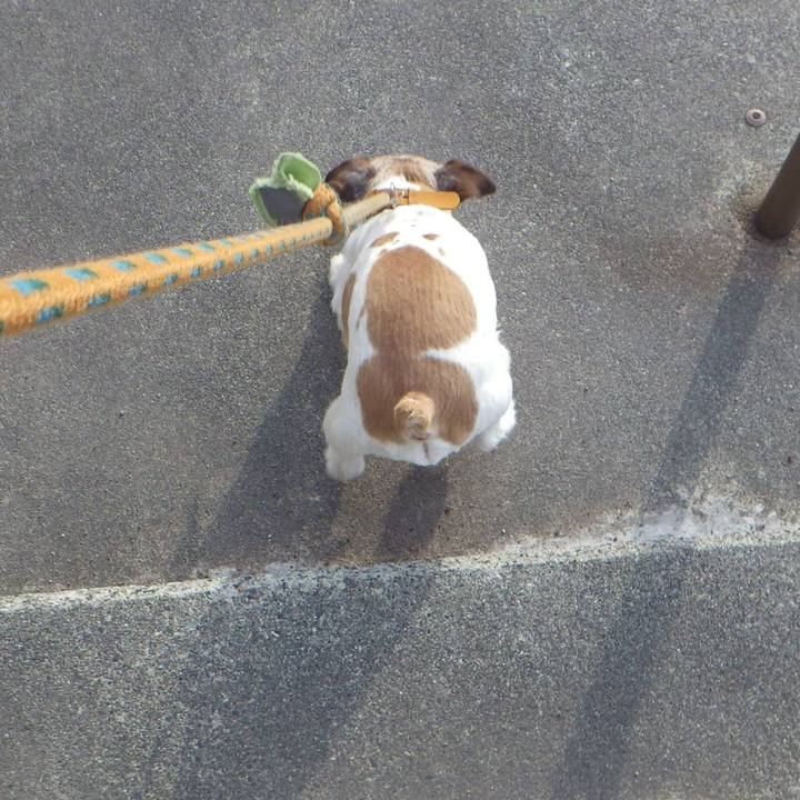 4664b807 70e2 4976 88a3 c63ac06e19cf 1553085645947