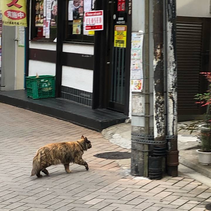 4664c594 ad3c 43f8 adba 6bc1e10b8f83 1543829749112