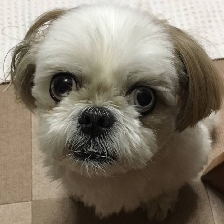 4664cc38 e8f7 403a 95a9 45a91c8e2e83 1534767366475