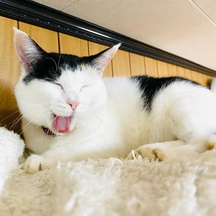 466585f0 6d0c 4658 8420 17a26fb18350 1697626346717