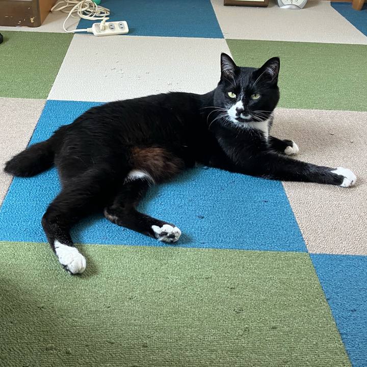 46659f00 301a 42b4 a510 fae0d1e8d512 1759730134528