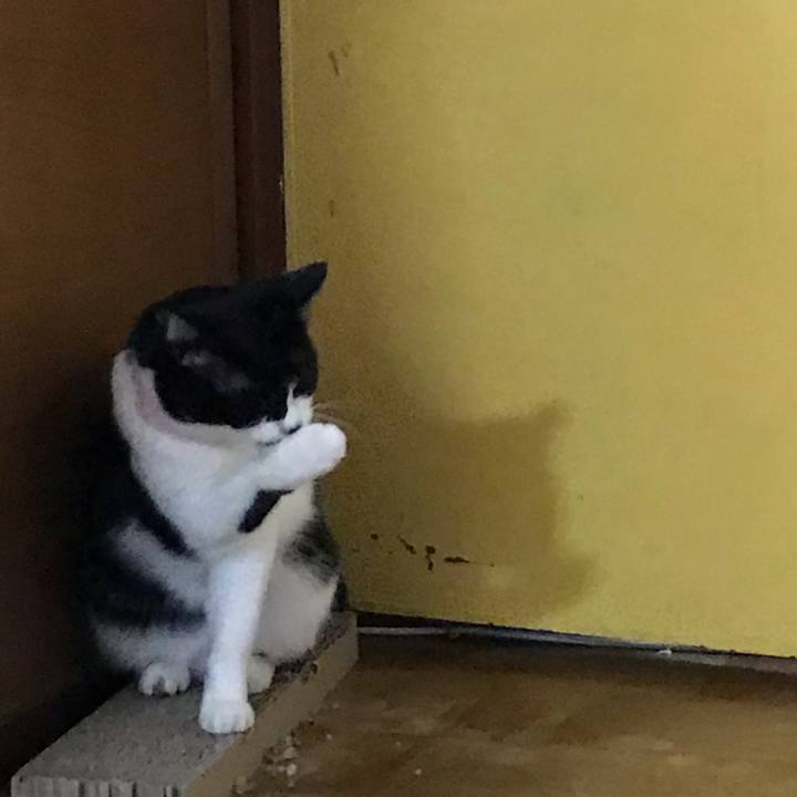 4665c74a 6d82 4da6 8c84 cc2336f7757e 1610630265952