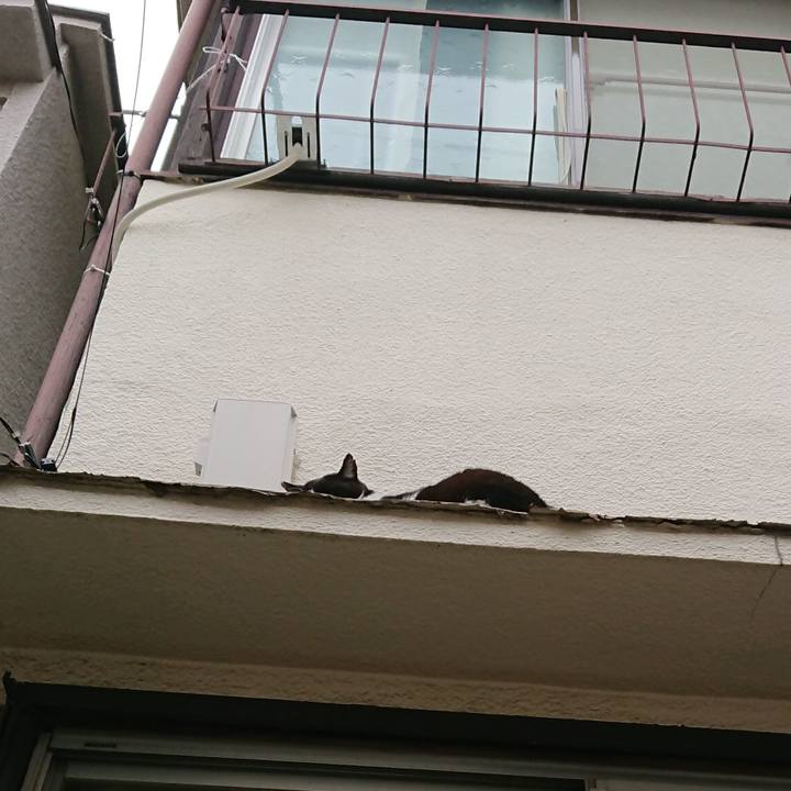 4665d83b 55b4 40f6 b3ef 0ae4fa11a767 1529195142423