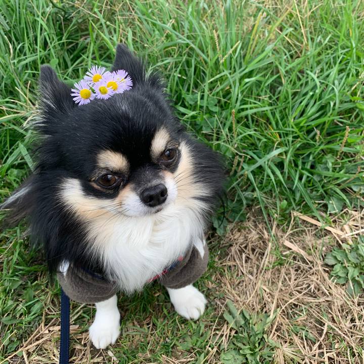 4665e797 4386 4020 90b3 093558a66d4b 1758894405275