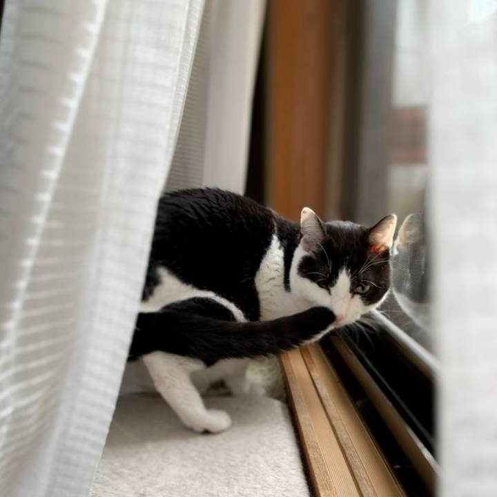 4665fe2f 9087 4098 be4c c38b1a4783d3 1595988094845