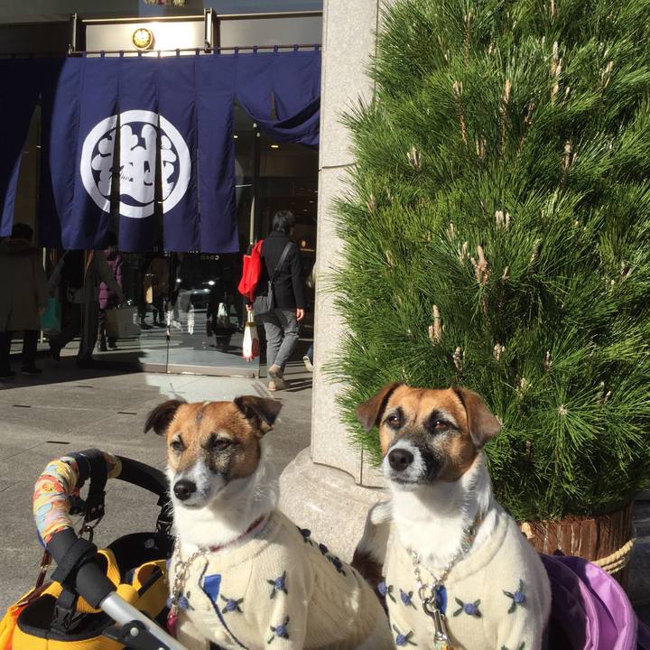 4666080c 074f 4fa3 add0 9d771a2af079 1546398268755