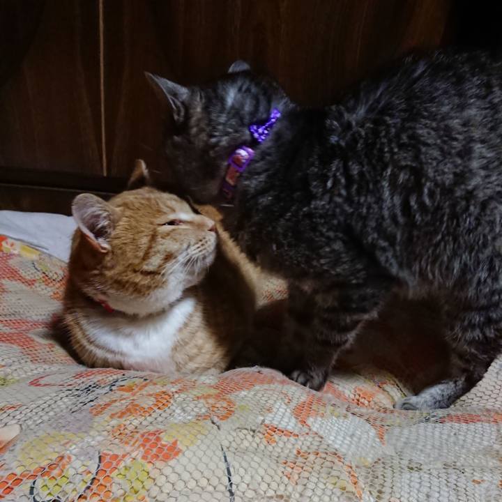 466613ff e37f 43eb 8897 5de287347d29 1577968135193