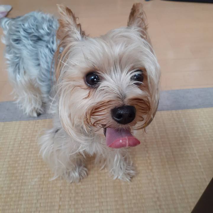 46661a3a 7cf4 4026 b1de da50417dee9c 1564612462684