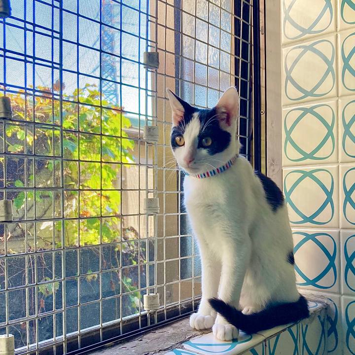 46665594 5945 4a35 b58c 42f881770bb6 1634199098183