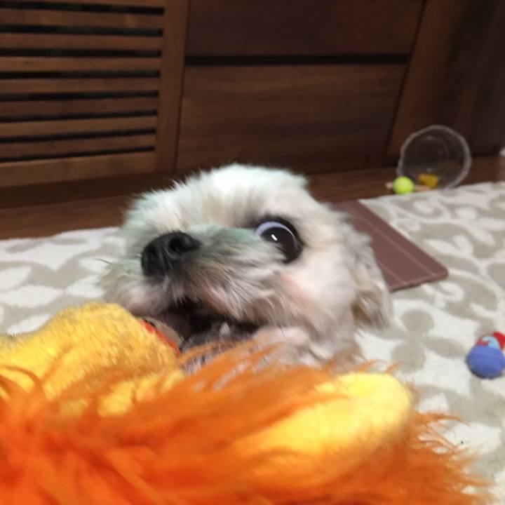 4666aae3 5b3f 4fc1 8d0d 27db98ca3ff6 1548672759185