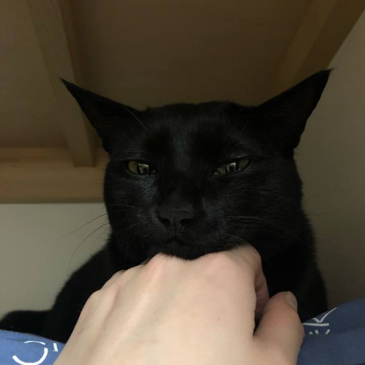 4666e844 80c7 4010 b08d 45290f43fd9b 1547852375990