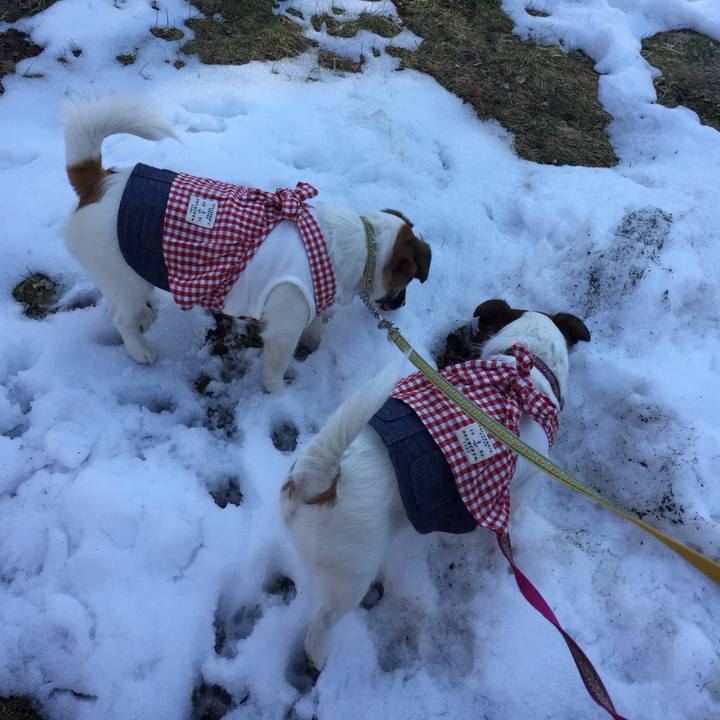 46670400 79f0 4e5d 9746 f8dfd7614bb5 1555143210564