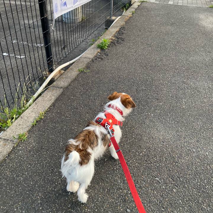 46674e24 dda9 4b39 85f1 36154adbb5c0 1654334467849