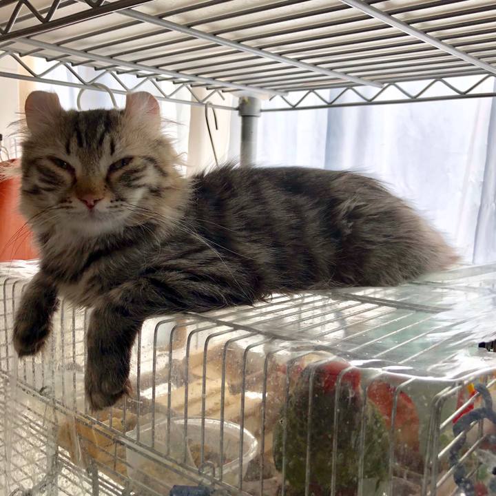 4667693e 787b 41e5 8e72 f9e587d50432 1523314260826