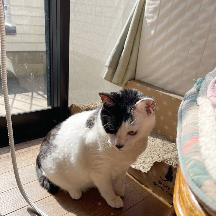 4667910d 59eb 4e3b a806 5d3d1d398d64 1771045680937