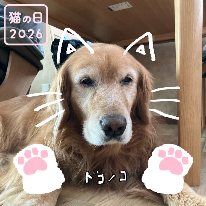 4667b121 d6e3 4d5d 94df 4d3e52a356d0 1771729273190