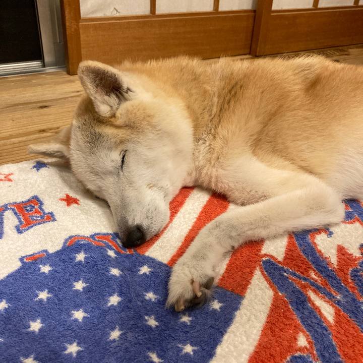 4667b3ec b50c 4fe4 a0b5 aa714e159f75 1600006265348