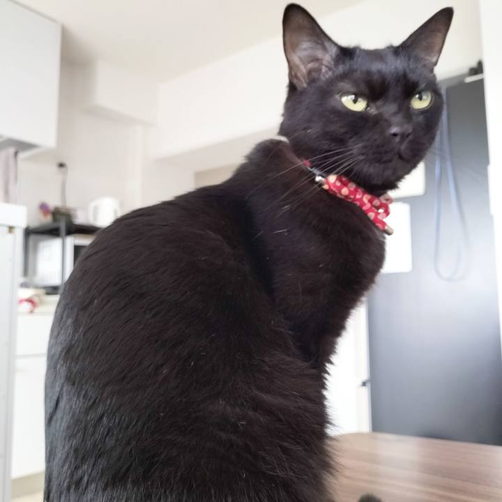 466810fa 06ed 464a bd35 cab1100e5ae0 1683929956083