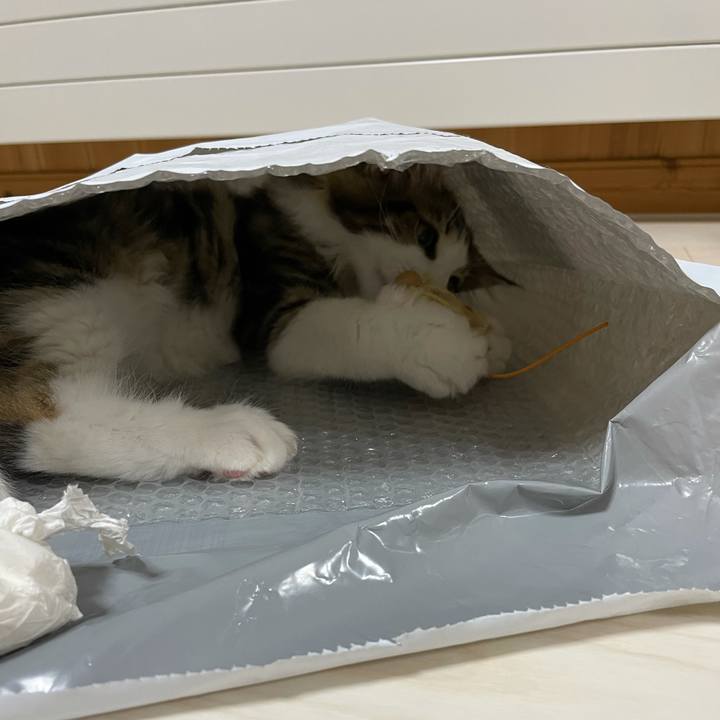 466830c7 b22d 4bc2 91c1 a6de70768697 1633082655874