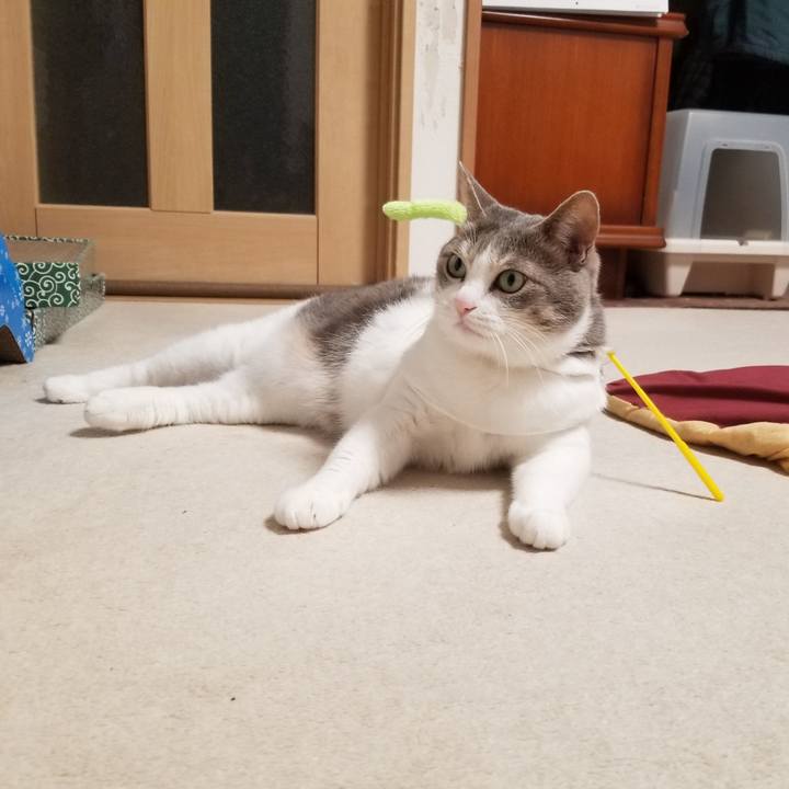 46683a14 630e 4ba9 b544 eb57c3619019 1648348500213