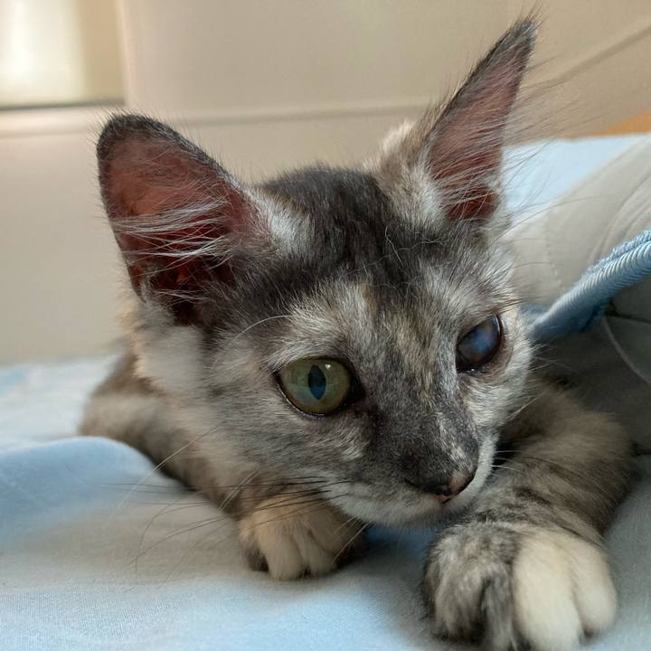 46683fe3 557c 4b1c a1d3 e34fe0c7882c 1692833474223