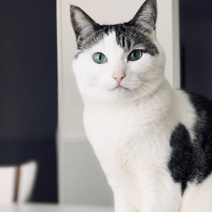 466841a4 0246 473e 8ce5 5646fbe7ab8e 1526701546961