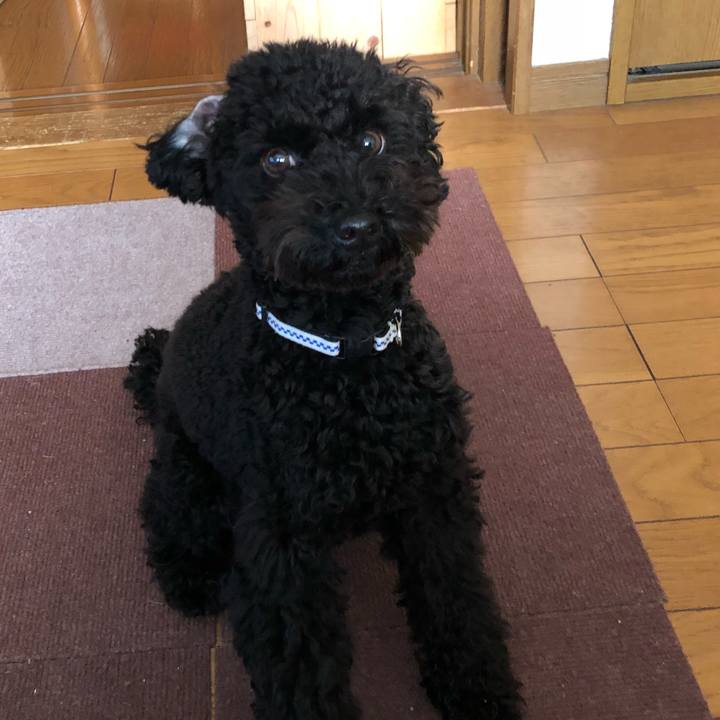 46684770 91d4 44e0 8d48 975cd7528786 1511820956968