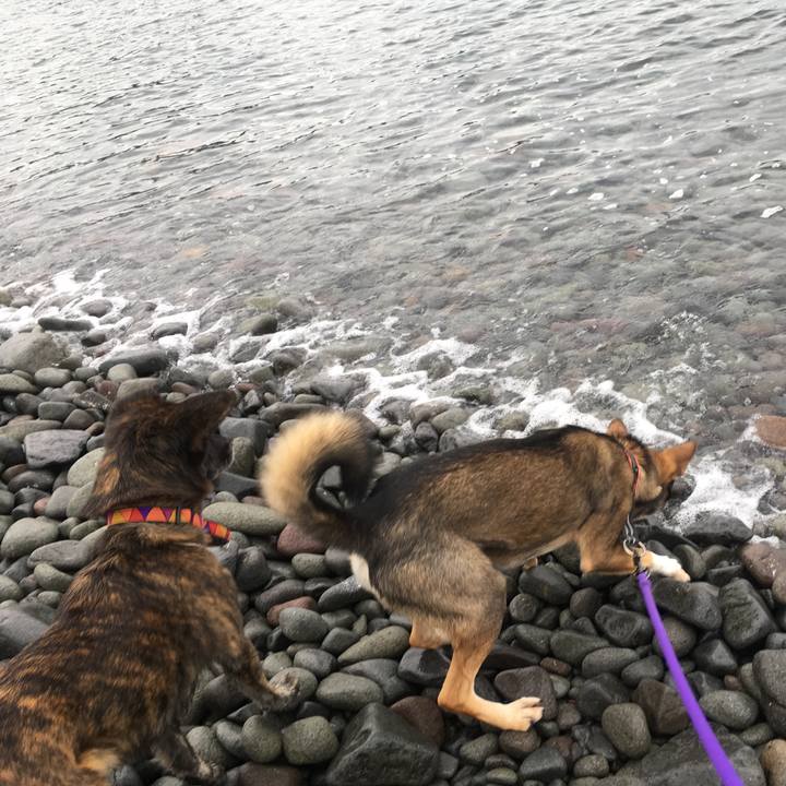 46685e97 0af8 4837 b83d 6081982fd620 1511678331503