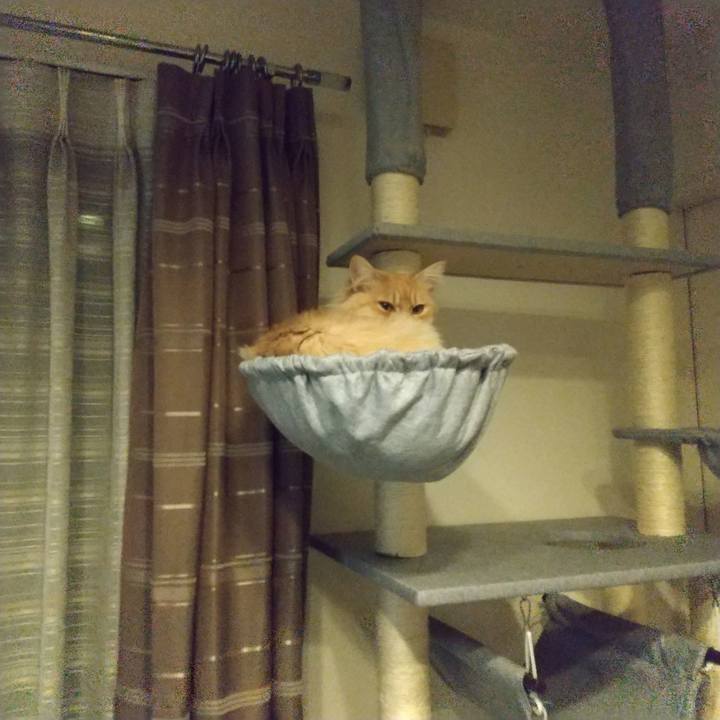 46685fd1 9333 41e7 9348 51937cb3f494 1648814639793