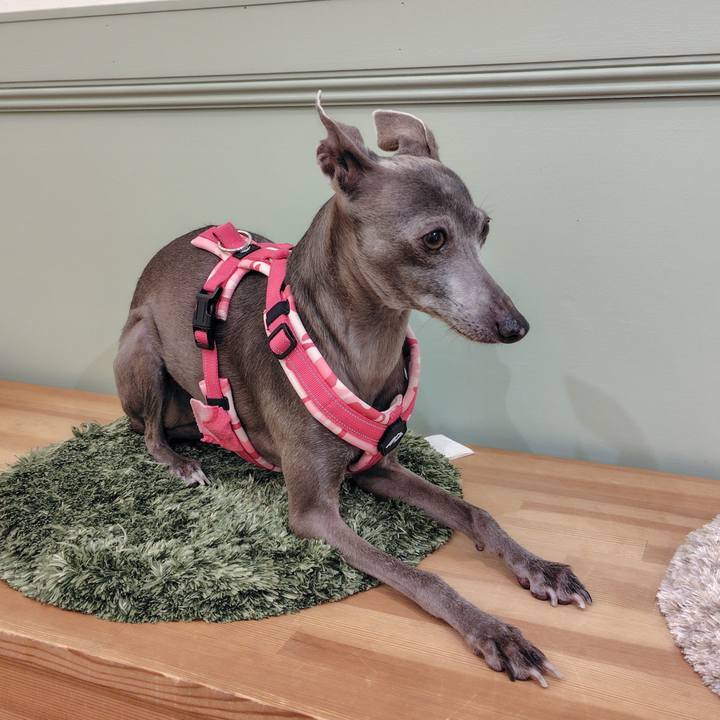 46686374 594b 4ebd 8364 a4e959f327c2 1764320824979