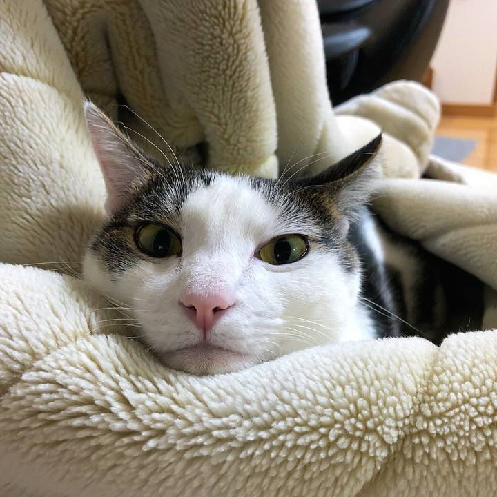 466871f8 e722 445c b3dc 19f0be36376e 1637059460226