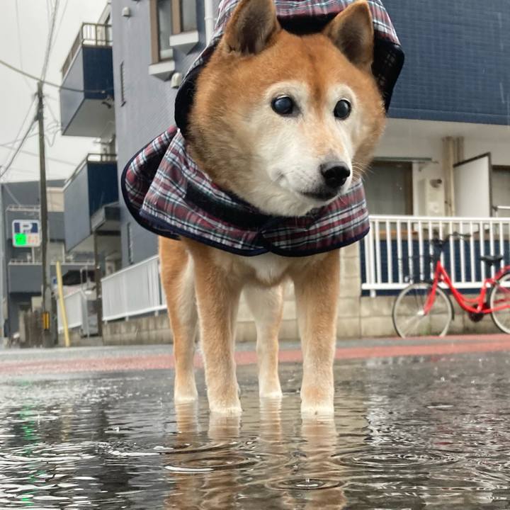 46689612 b0f8 4e9f 9086 e52da31c319f 1710231309218