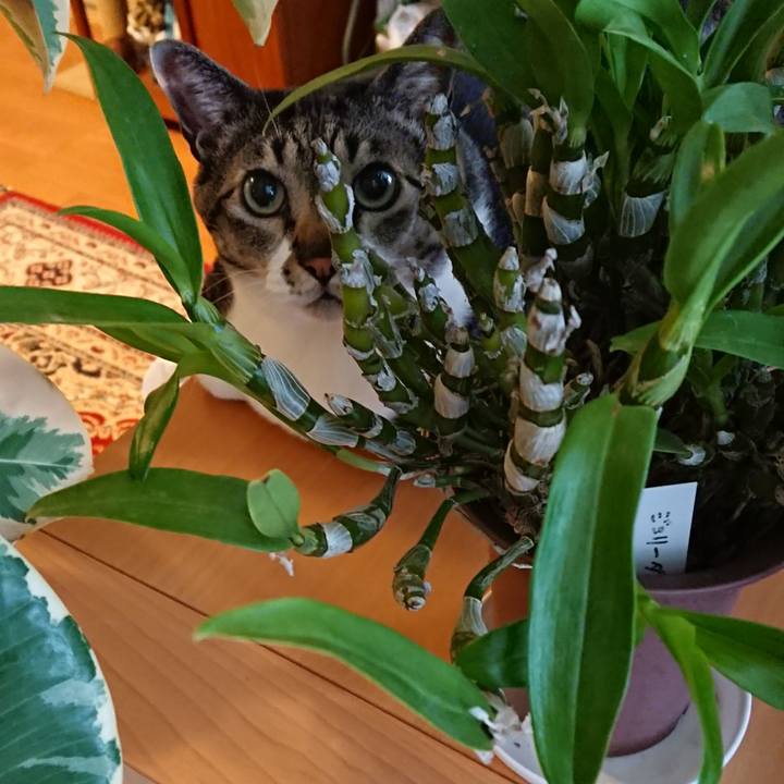 4668b359 9d37 46f9 b4b6 e2c4358db6fc 1554512499273