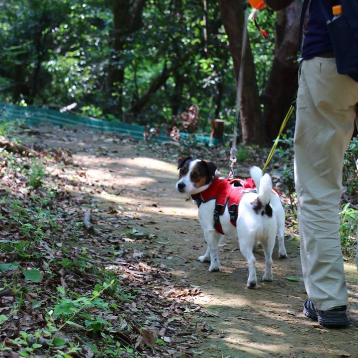 4668f44b f3ff 4f8e 8764 b29b520b9f64 1556941180297