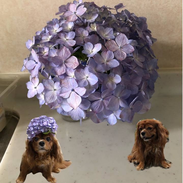 46693df2 dba4 49c5 b29b 7e9d65810770 1624537084140