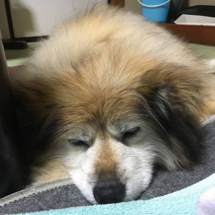 46694853 b257 47a1 87d2 5872529b1888 1572149477406