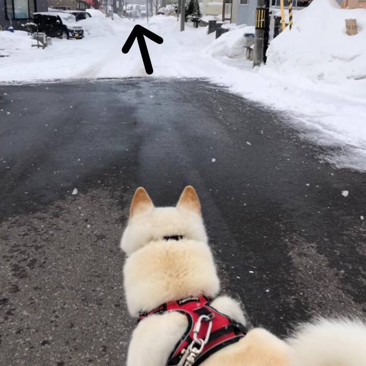 466972e2 71d3 4689 804c 47afe65f22f4 1614053890952