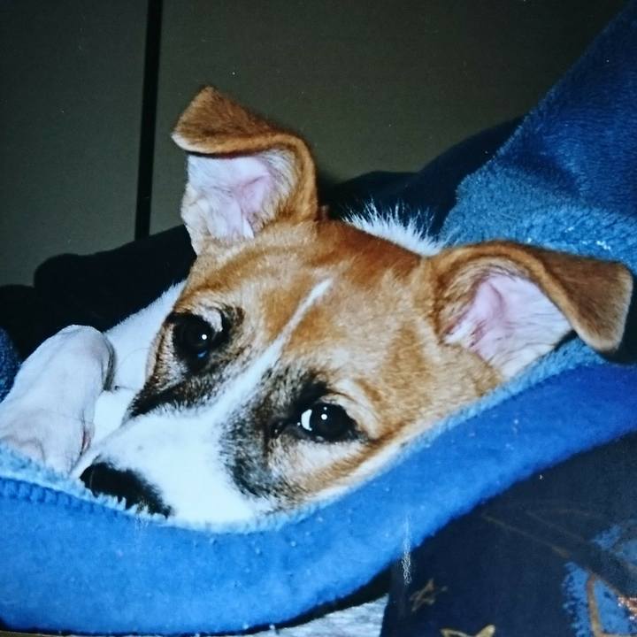 4669989b a1d9 4203 8254 beb308b2db58 1540296927608