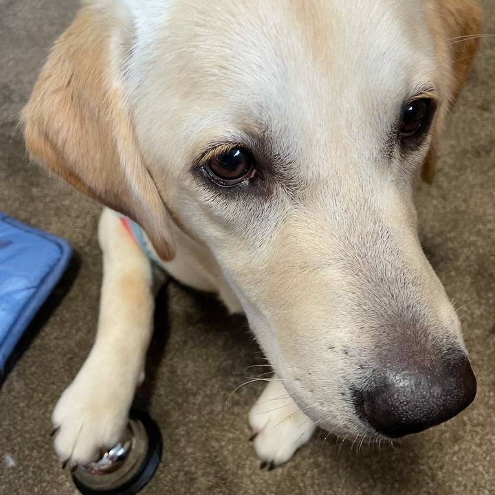 4669d255 ec2b 4953 8234 1d469b1a8153 1625819002116