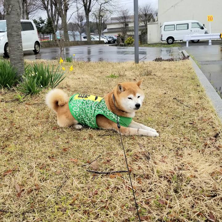 4669d6d6 f359 4df5 8f28 d89e7d32c216 1586748159846