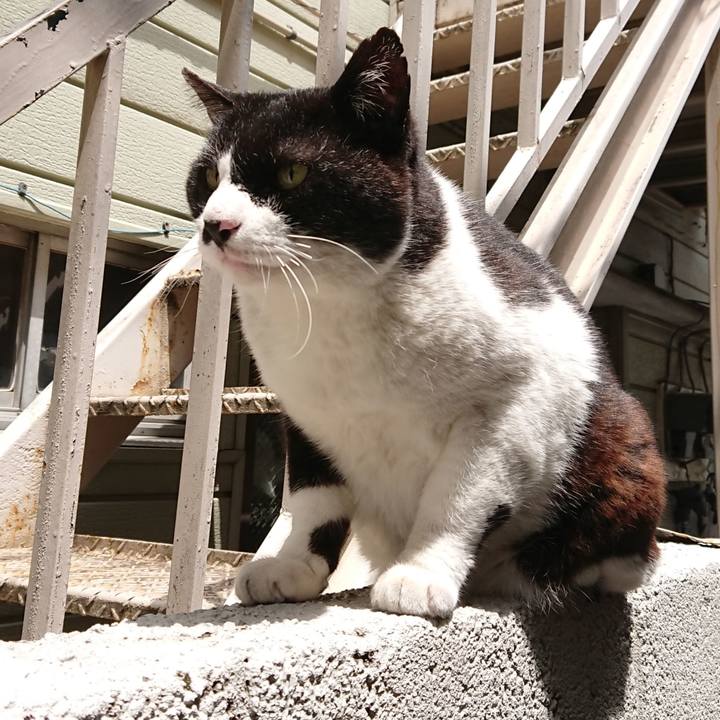 4669fd81 3289 42ad b473 55f67e3f09d5 1621050089657