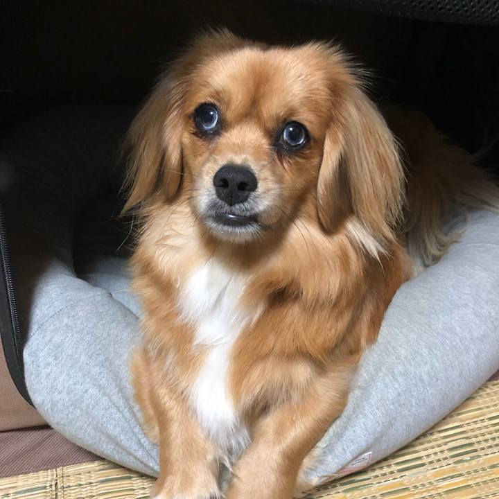 466a2cb8 a9e6 466c ade7 3403976ca0c6 1528924007783