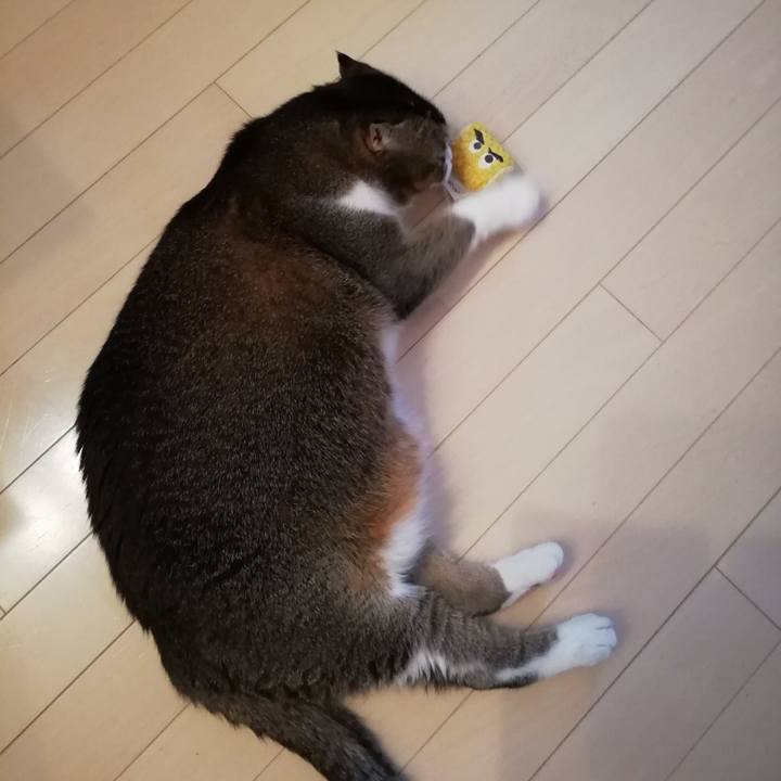 466a5514 5e7f 4899 bc2b 39cead16210a 1566709051682